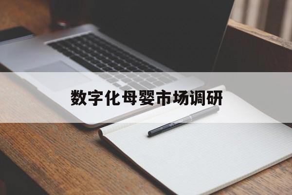 亳州市数字化母婴市场调研(数字化母婴市场调研报告)