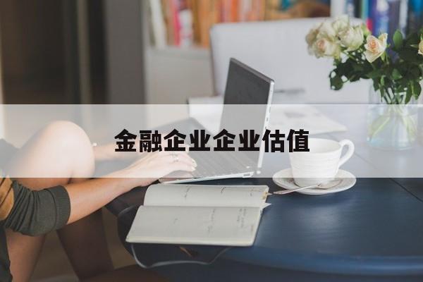 亳州市金融企业企业估值(最新企业估值怎么填)